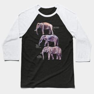 Elephant Species Identification Guide Baseball T-Shirt